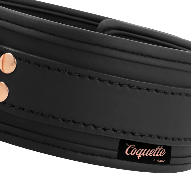 COLAR DE COURO FANTASY VEGAN COM ALÇA E FORRO DE NEOPRENE