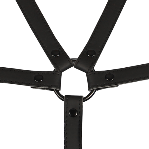 ARNÊS AJUSTÁVEL TORSO E BRAÇOS