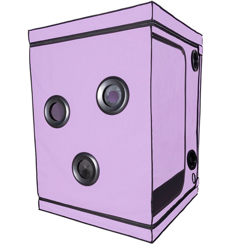 ESCÂNDALO ROXO DO CLUBE KINK