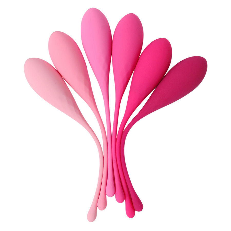 KEGEL FIT PELVIC MUSCLE TRAINING CONJUNTO 6 PCS