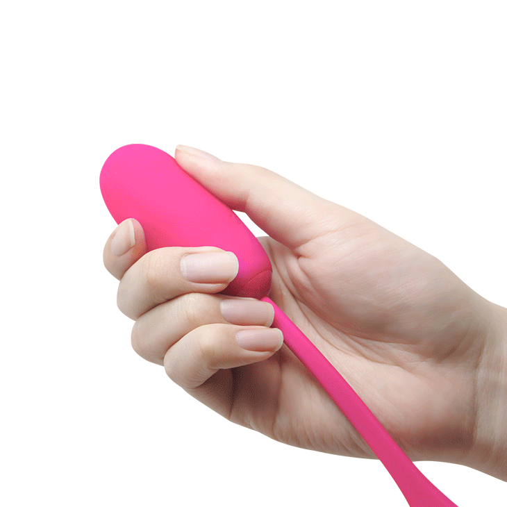 JULIUS HUEVO VIBRADOR