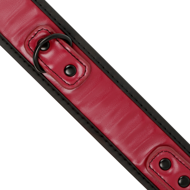 COLAR DE CORRENTE COM FORRO DE NEOPRENE