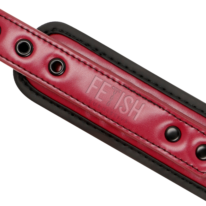 COLAR DE CORRENTE COM FORRO DE NEOPRENE
