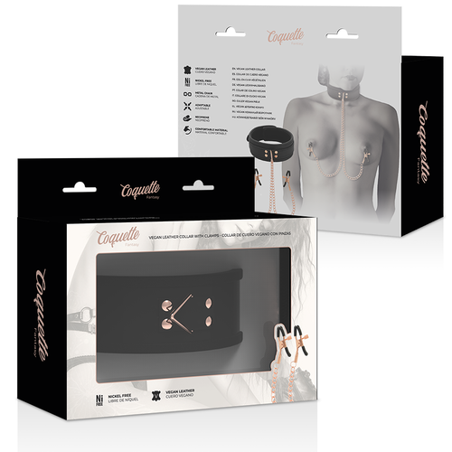 COLAR COQUETTE CHIC COM PINÇAS DE BICOS