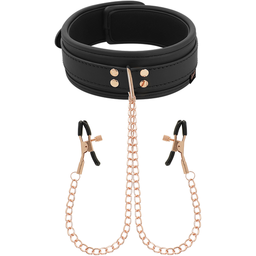 COLAR COQUETTE CHIC COM PINÇAS DE BICOS