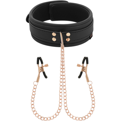 COLAR COQUETTE CHIC COM PINÇAS DE BICOS
