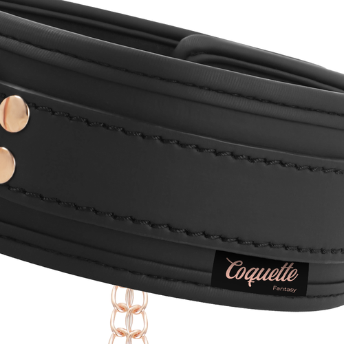 COLAR COQUETTE CHIC COM PINÇAS DE BICOS