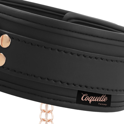 COLAR COQUETTE CHIC COM PINÇAS DE BICOS