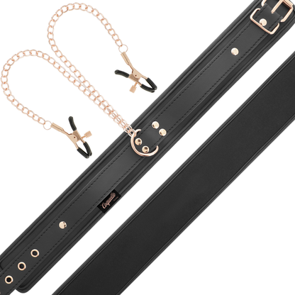 COLAR COQUETTE CHIC COM PINÇAS DE BICOS
