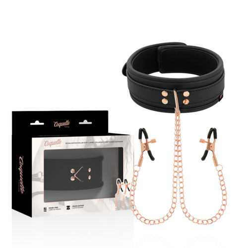 COLAR COQUETTE CHIC COM PINÇAS DE BICOS