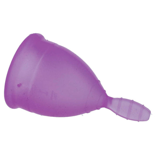 NINA CUP MENSTRUAL CUP SIZE ROXO