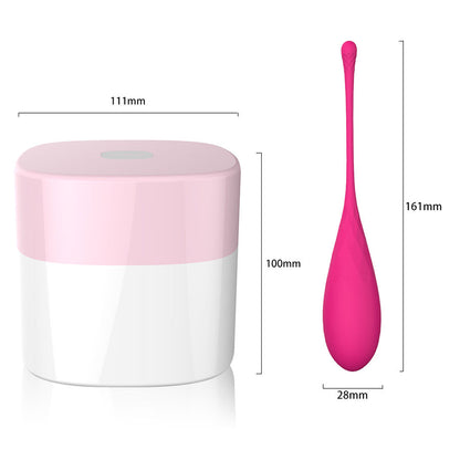 KEGEL FIT PELVIC MUSCLE TRAINING CONJUNTO 6 PCS
