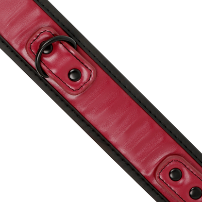 COLAR DE CORRENTE COM FORRO DE NEOPRENE
