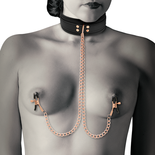 COLAR COQUETTE CHIC COM PINÇAS DE BICOS